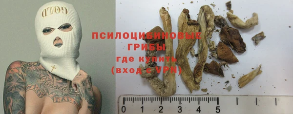 каннабис Новокубанск