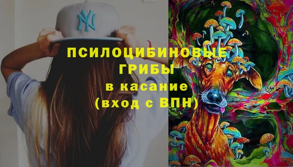 дживик Новодвинск